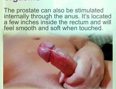 Prostate Orgasams Anal