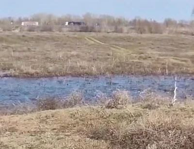 Fuck Me on the Side of the Road, Shove a Big Cock with Cum up My Ass