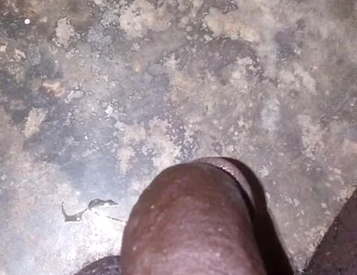 I Own Weak White Bois with My Superior