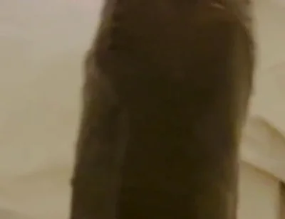 Nothing Stops Me From Wanking to Porn Daily