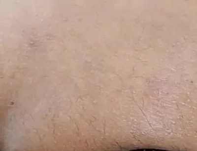 I Love Swallowing This Whole Enormous Gigant Toy