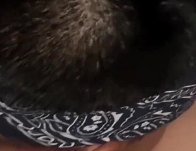 Watches Boyfriend's Long Deep Oral Session