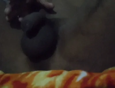 New Porn Desi Sex Indian Hot Slimgirl Nude Pussy Hand Massage Desi Boy