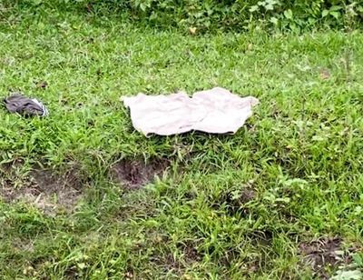 Enjoying Alone in Jungle Indian Young Boy