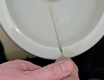 Pissing to the Toilet