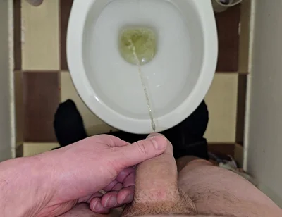 Pissing to the Toilet