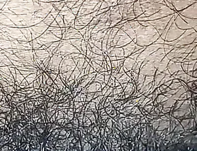 Indian Gay Boy Outdoor Masterbtion with Kissing Lip