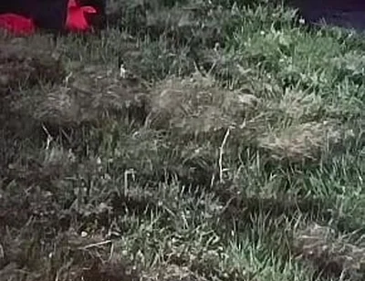 I Strip and Jerk off Outside at Night