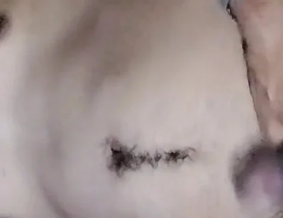 Ass Hole Show