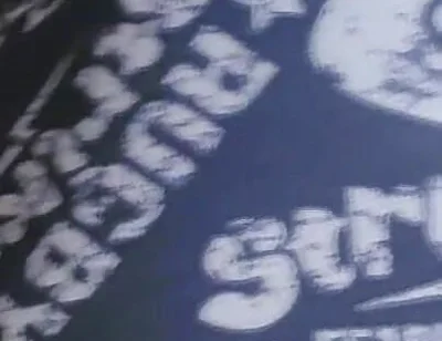 Gray Boxer and White Socks (video 1)