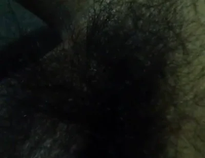 Owl Wake up