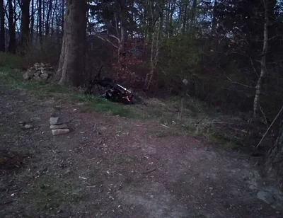 Naked in the Meadow