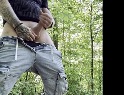 Hot Break in the Forest