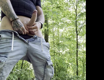 Hot Break in the Forest