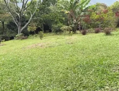 Horny Guy with Glasses Shows You His Morning Erection and Masturbates Outdoors - Andcristian
