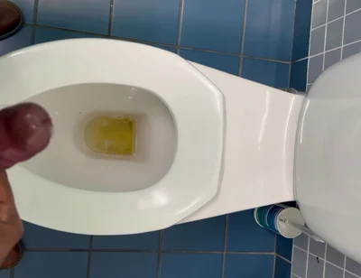 Jerking off in the Office Washroom