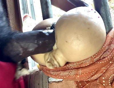 Desi Real Anal Hot Sex Indian Style