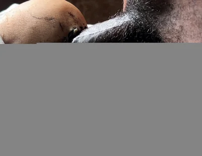 I Cum so Fast Because the Big Ass Is so Cool and Hard