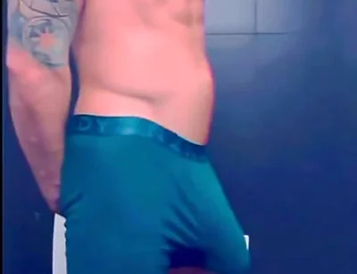 I Can't Hide My Huge Bulge