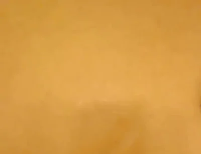 Black Cock Shots