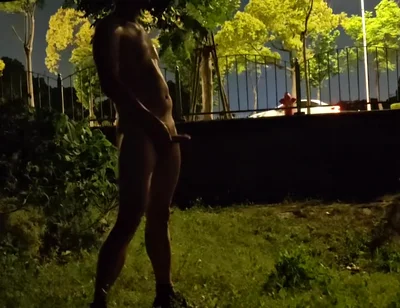 Jerking off with Bare Ass Next to a Busy Road and Cumming
