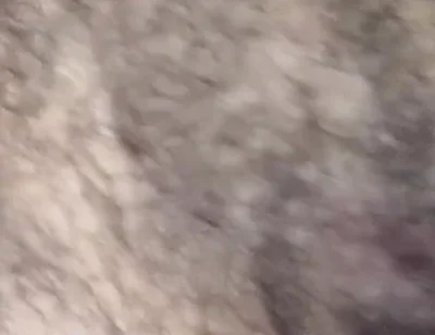 Some Fun Nipple Stuff for Titty Tuesday!