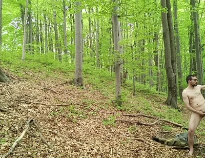 I Chase Him Through the Leaves