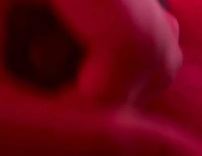 Red Golden Perish Golden Sperm Shot