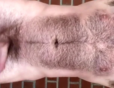 hairy boy