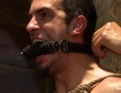 Phenix Rising - Phenix Saint And Patrick Rouge