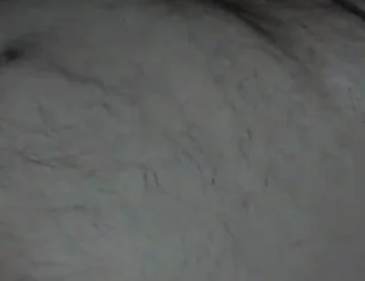 Bear Daddy Cums