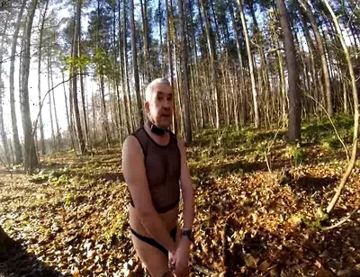 Cold Day in the Woods