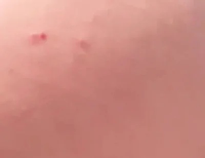 My Big Ass Is Way Better Than a Woman’s, and It Never Gets Pregnant.