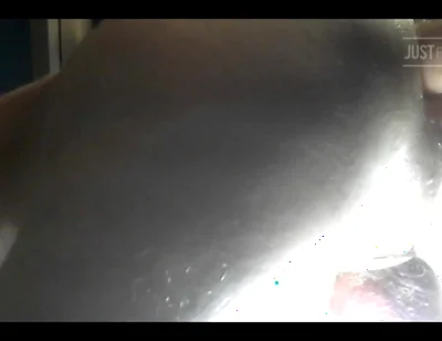 Wet Sloppy Fuck