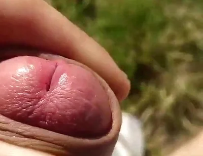 Risky Forest Wank
