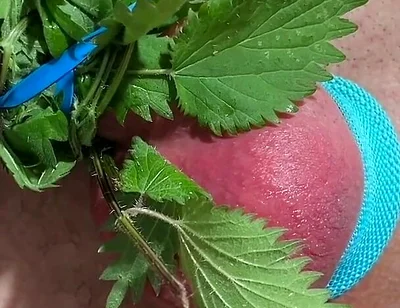 Cum with Nettles Inside Dick