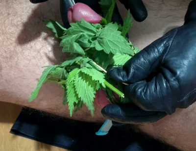 Cum with Nettles Inside Dick