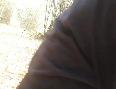 Forest Public Indian Boy and Handjob