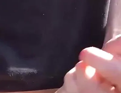 The Sunshine