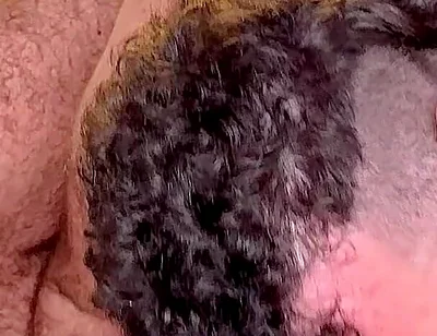 Hairy Men Fuck with No Mercy 1