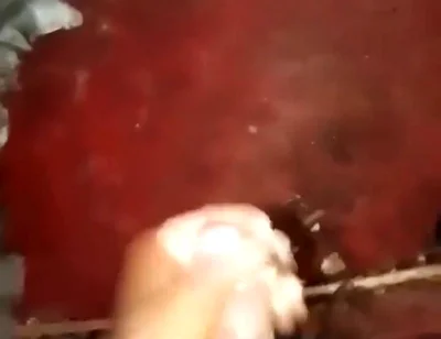 867486332044197888.mp4