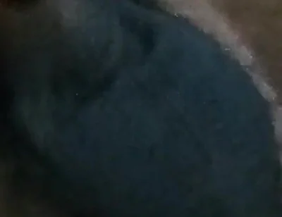 Who Wants My Dick?