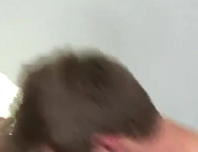 Tristan Stiles Fucks Rob Ryder