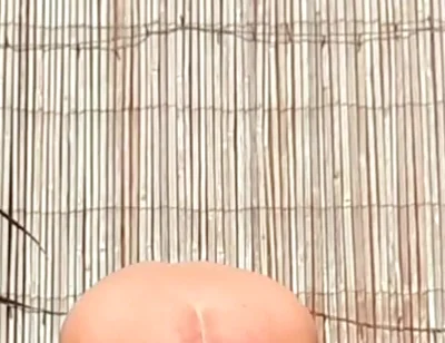 Anal Stretching