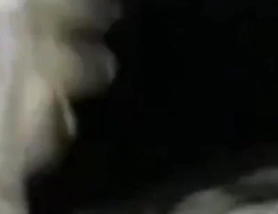 Closeup Stroking My Big Black Cock