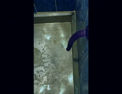 Back in the Shower, Playing with My Anus Again...