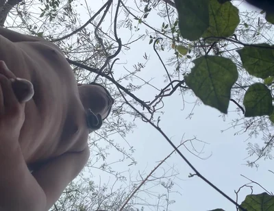 Chinese Bear
