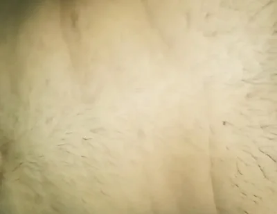I Fucked My White Gay Friend