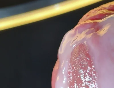 Wet Penis Gets Masturbated