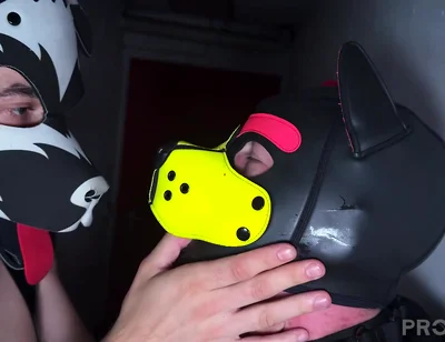 Basement Encounter